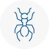 Ant Removals In Gosforth
