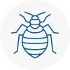 Bed Bug Extermination In Gosforth
