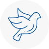 Bird Prevention Gosforth