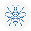 Gosforth Hornet Nest Removals