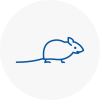 Mice Exterminators In Gosforth