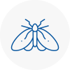 Moth Control Specialists In Gosforth