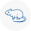 Rat Control Gosforth