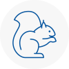 Gosforth Rodent Removals